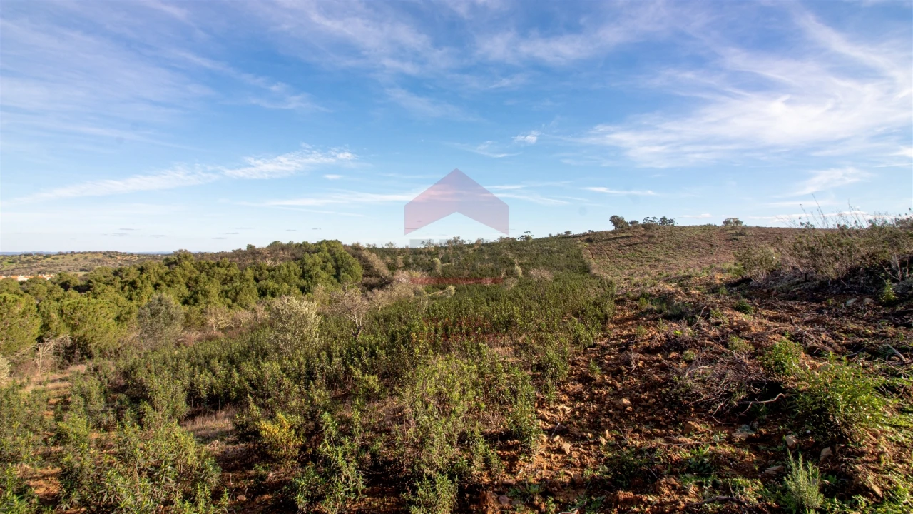 Terreno Agricola ou Rústico para Venda em Martim Longo Foto 4