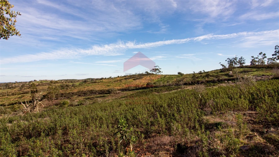 Terreno Agricola ou Rústico para Venda em Martim Longo Foto 5