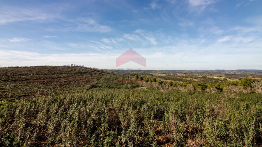 Terreno Agricola ou Rústico para Venda em Martim Longo Foto 3