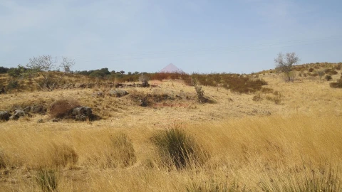 Terreno Agricola ou Rústico para Venda em Castro Marim