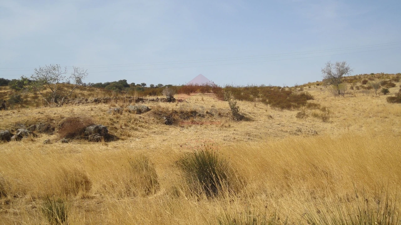 Terreno Agricola ou Rústico para Venda em Castro Marim Foto 1