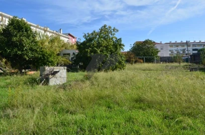 Terreno para Venda em Ajuda