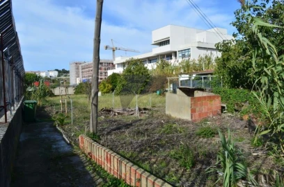 Terreno para Venda em Ajuda