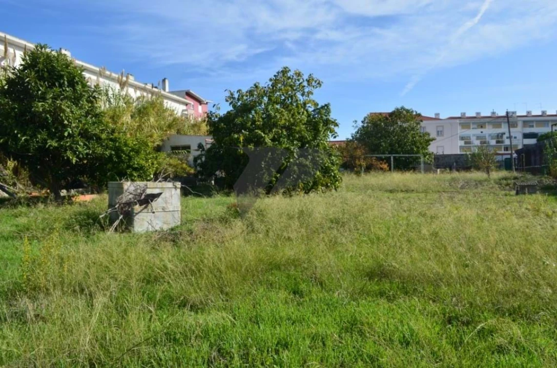 Terreno para Venda em Ajuda Foto 20