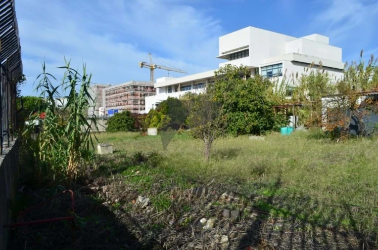 Terreno para Venda em Ajuda Foto 17