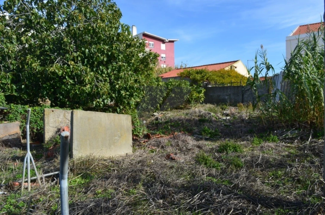 Terreno para Venda em Ajuda Foto 23