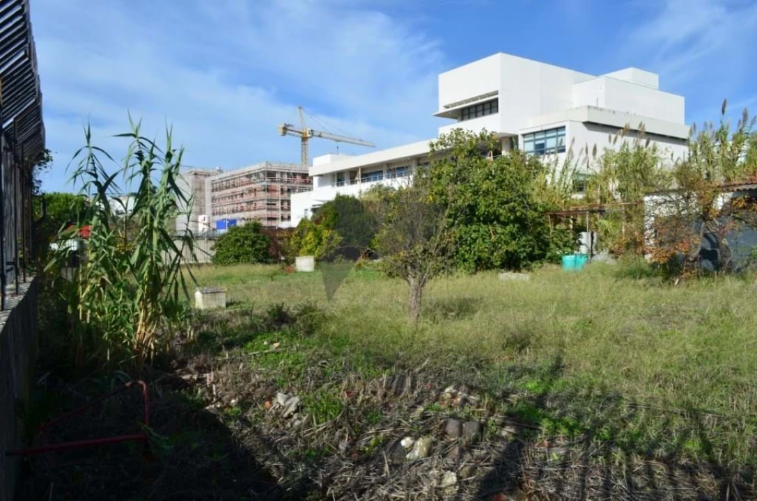 Terreno para Venda em Ajuda Foto 18
