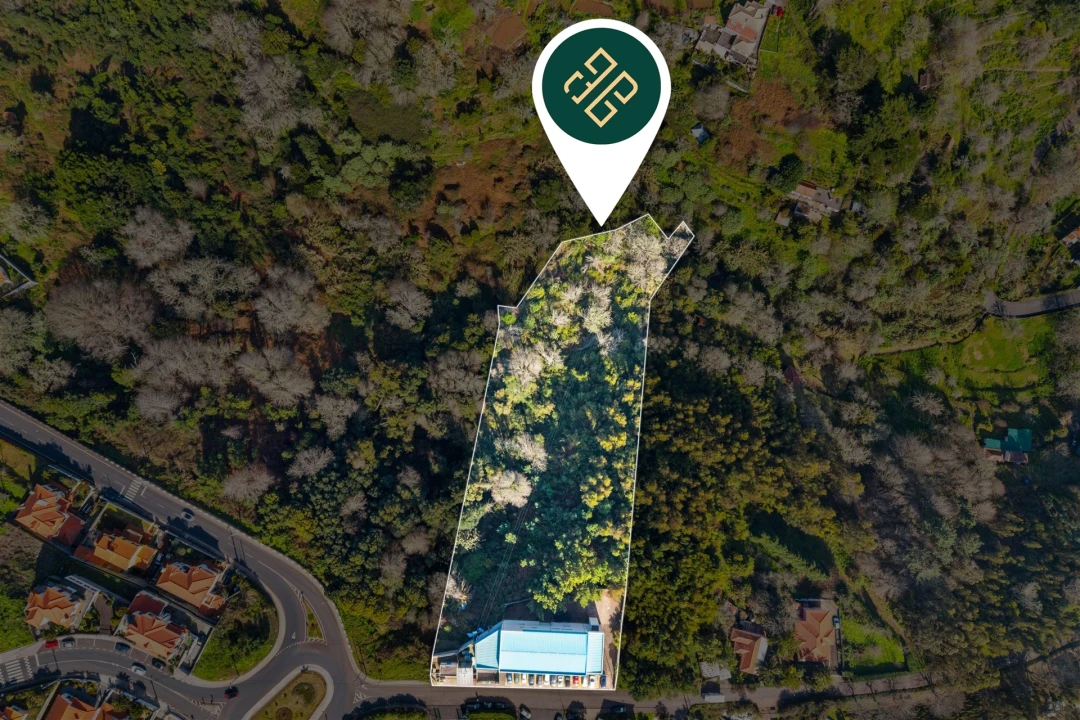 Armazém para Venda em Camacha Foto 3