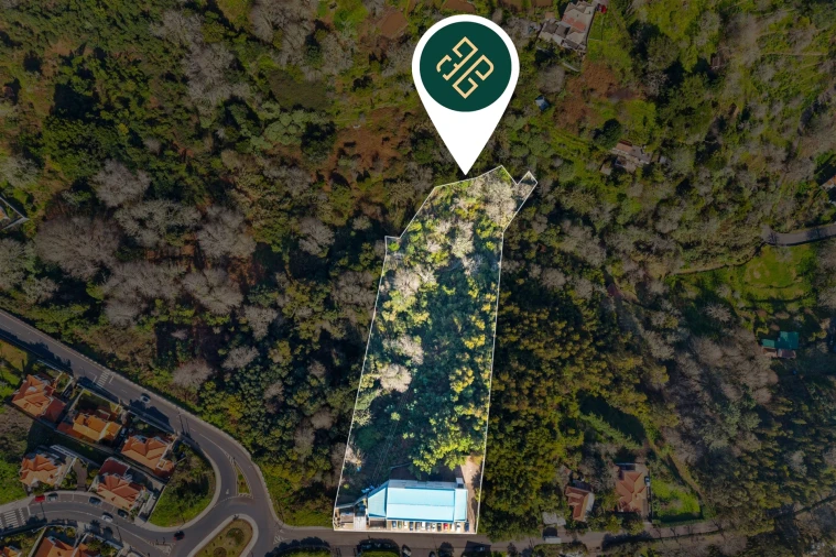 Armazém para Venda em Camacha Foto 3