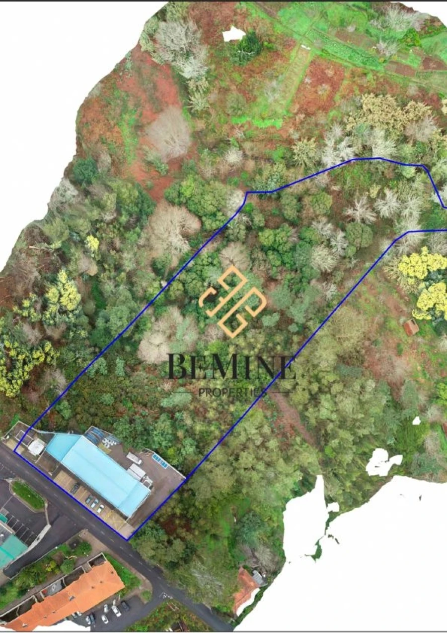 Armazém para Venda em Camacha Foto 13