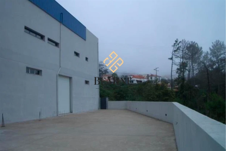 Armazém para Venda em Camacha Foto 5