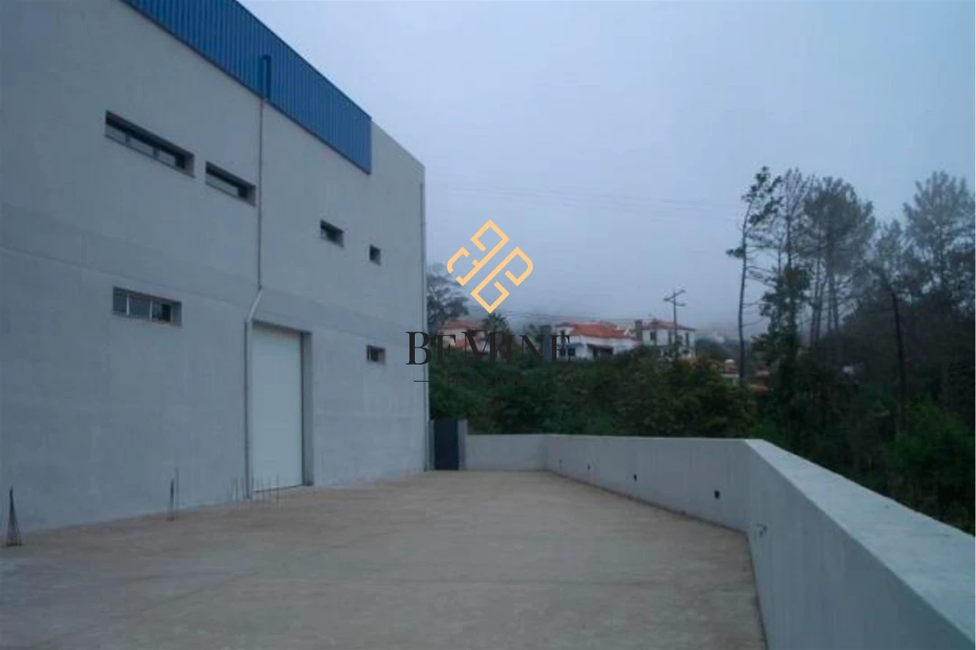 Armazém para Venda em Camacha Foto 5