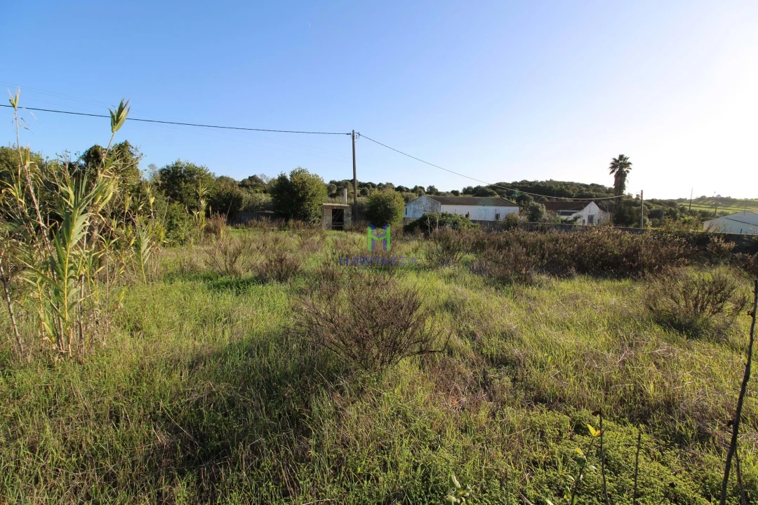 Terreno para Venda em Lagos (São Sebastião e Santa Maria) Foto 3