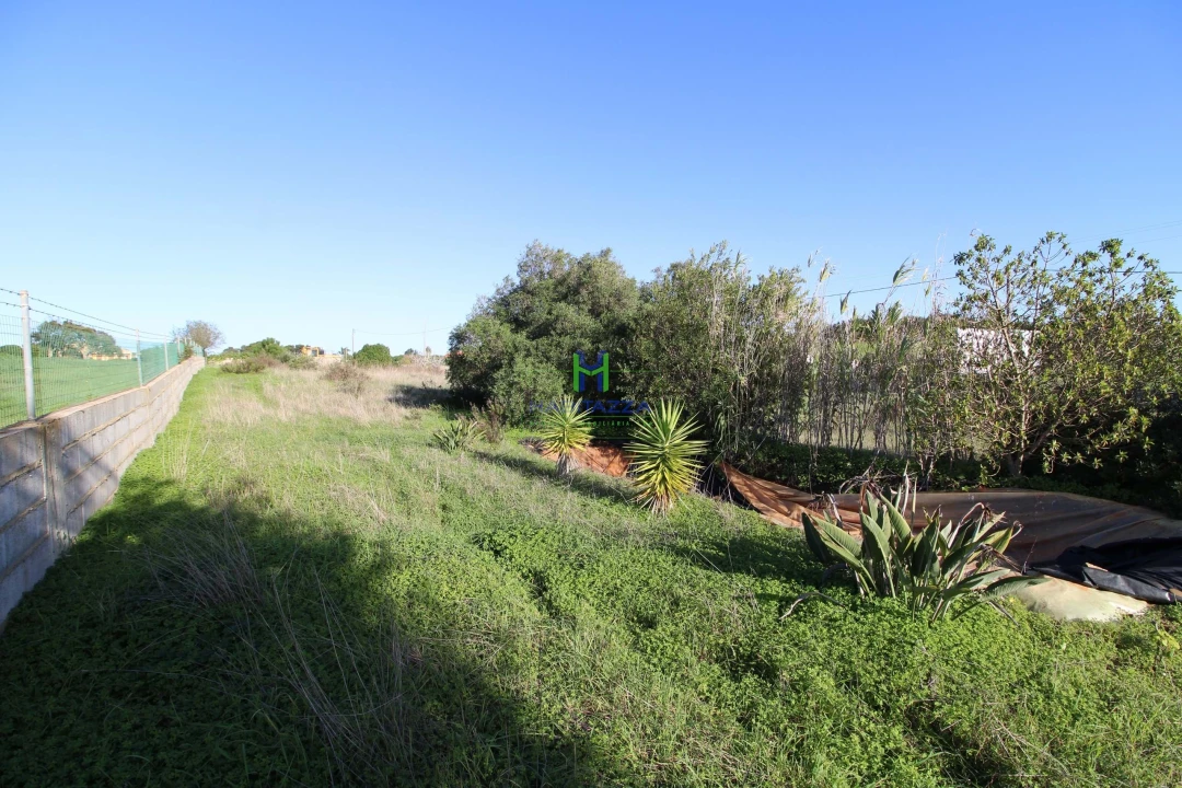 Terreno para Venda em Lagos (São Sebastião e Santa Maria) Foto 6