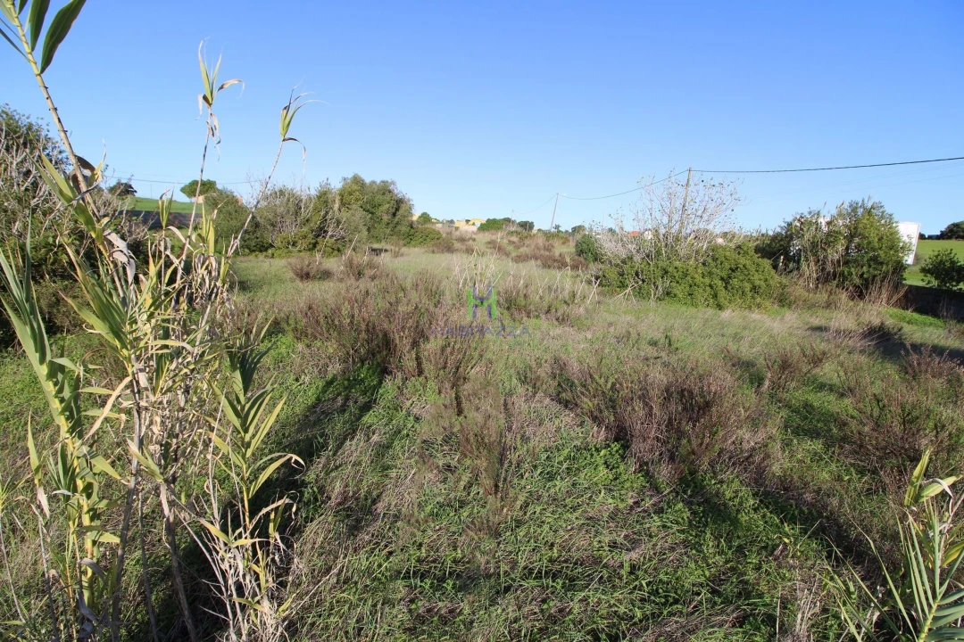 Terreno para Venda em Lagos (São Sebastião e Santa Maria) Foto 5