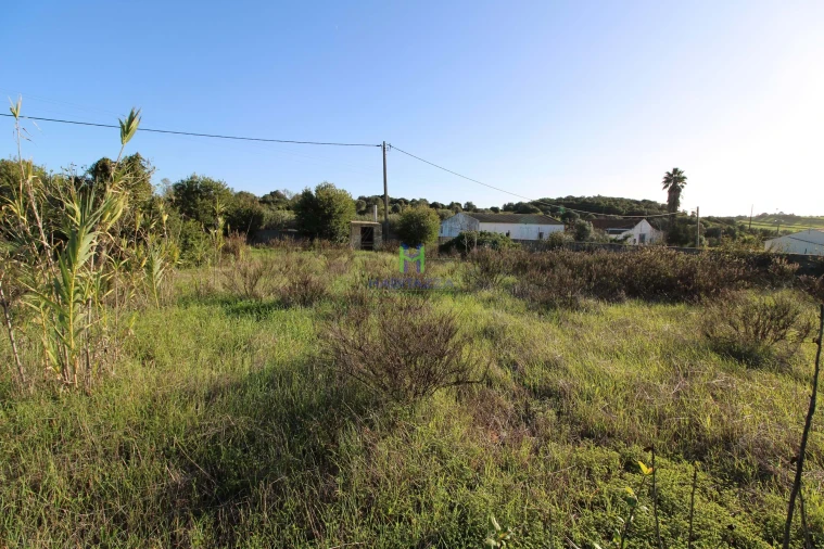 Terreno para Venda em Lagos (São Sebastião e Santa Maria) Foto 3
