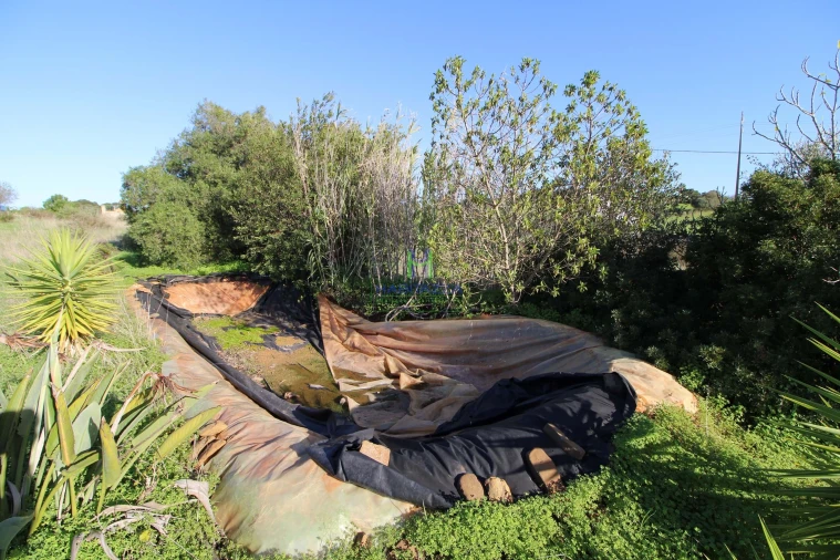 Terreno para Venda em Lagos (São Sebastião e Santa Maria) Foto 7