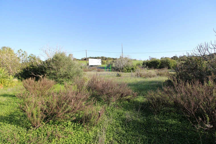 Terreno para Venda em Lagos (São Sebastião e Santa Maria) Foto 4