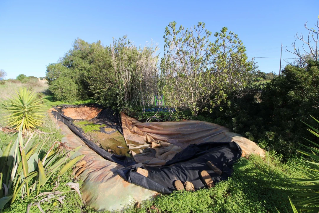 Terreno para Venda em Lagos (São Sebastião e Santa Maria) Foto 7