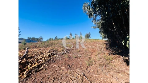 Moradia T2 para Venda em Figueiró dos Vinhos e Bairradas