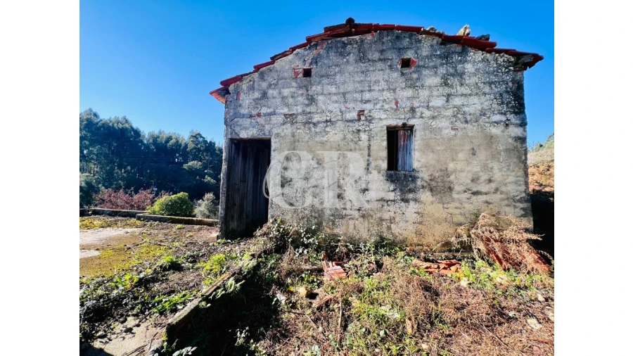 Moradia T2 para Venda em Figueiró dos Vinhos e Bairradas Foto 13
