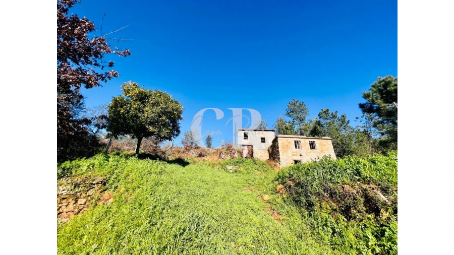 Moradia T2 para Venda em Figueiró dos Vinhos e Bairradas Foto 4