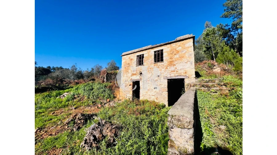 Moradia T2 para Venda em Figueiró dos Vinhos e Bairradas Foto 19