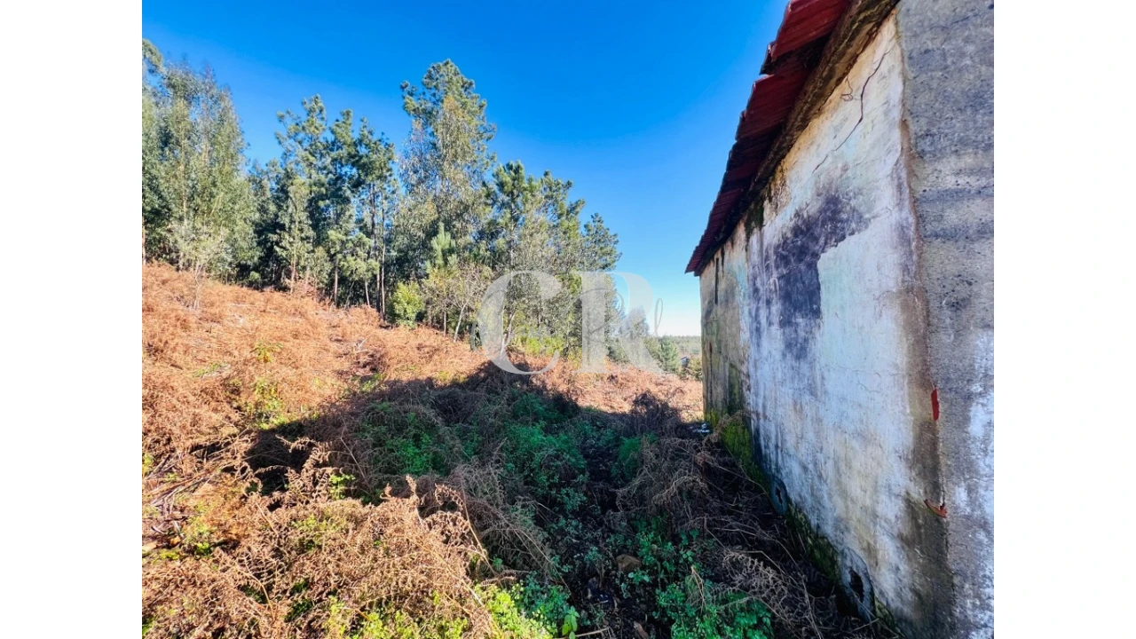 Moradia T2 para Venda em Figueiró dos Vinhos e Bairradas Foto 14