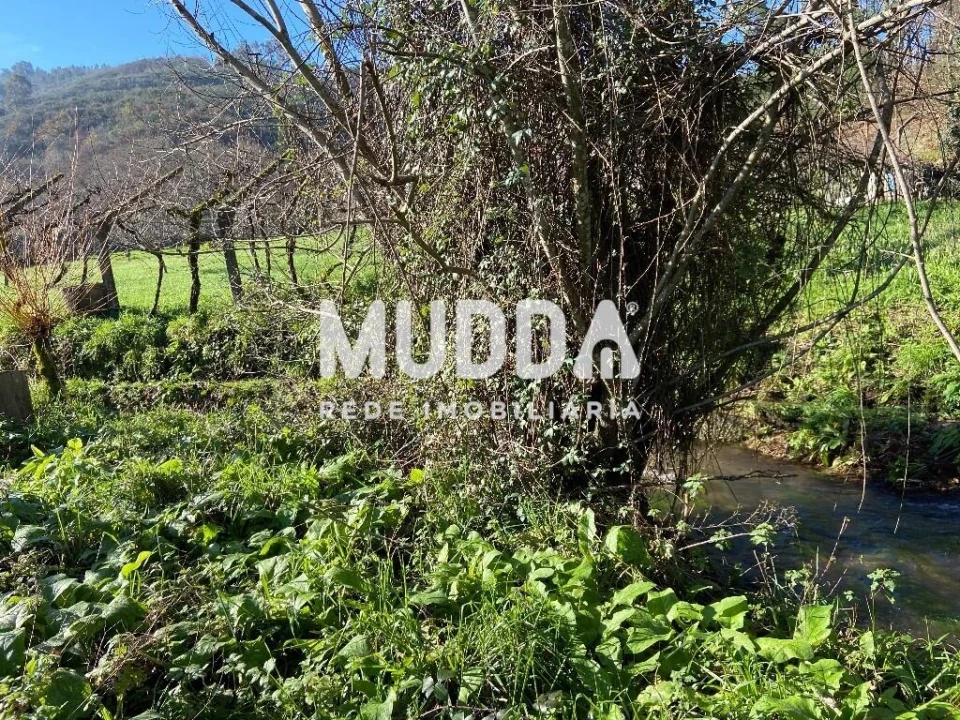 Terreno para Venda em Gove Foto 8