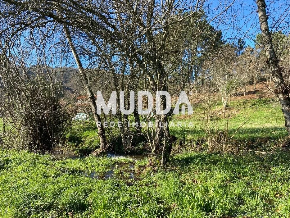 Terreno para Venda em Gove Foto 13