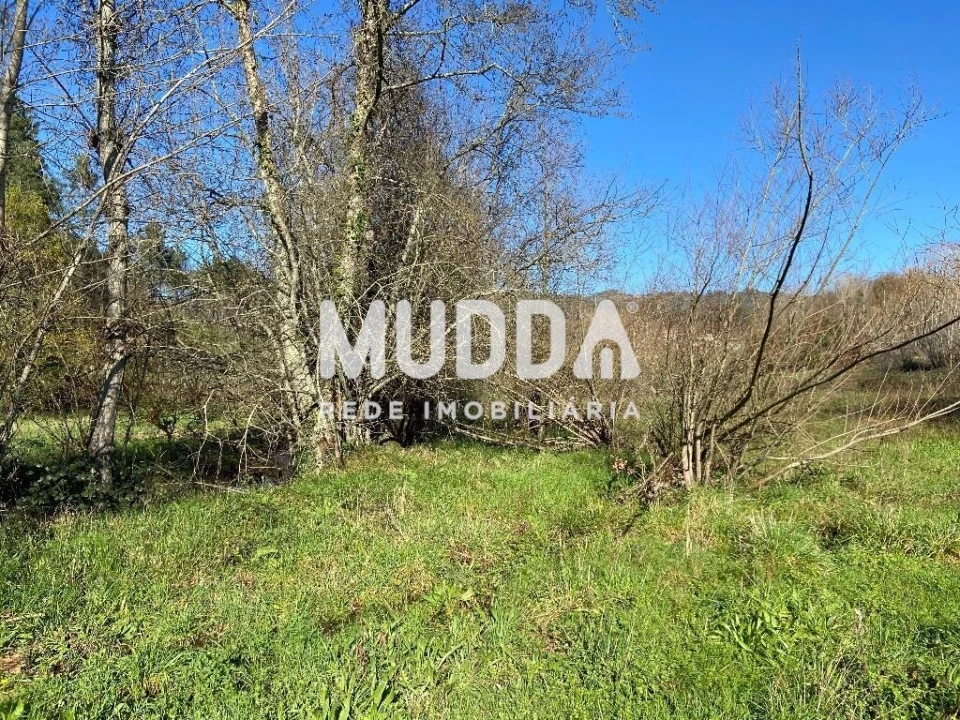 Terreno para Venda em Gove Foto 12