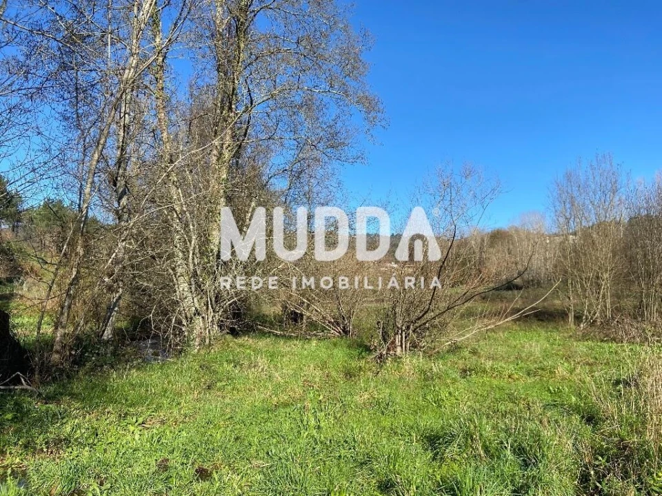 Terreno para Venda em Gove Foto 5