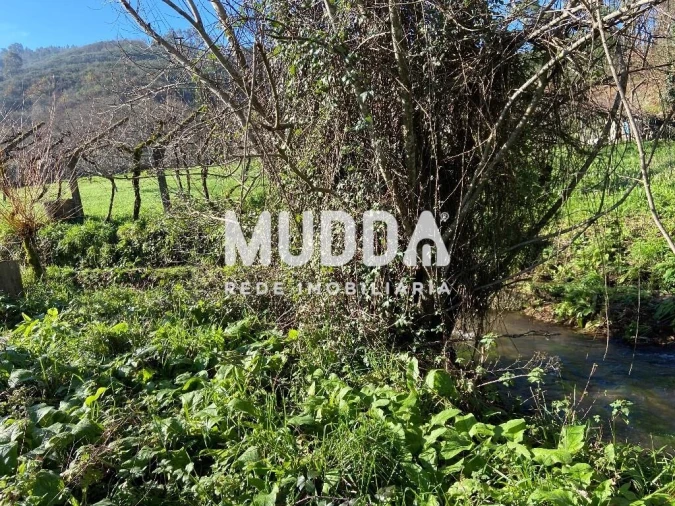 Terreno para Venda em Gove Foto 8