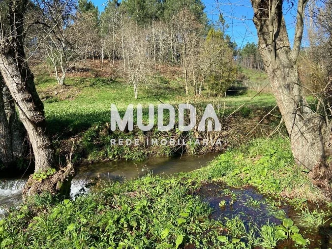 Terreno para Venda em Gove Foto 10