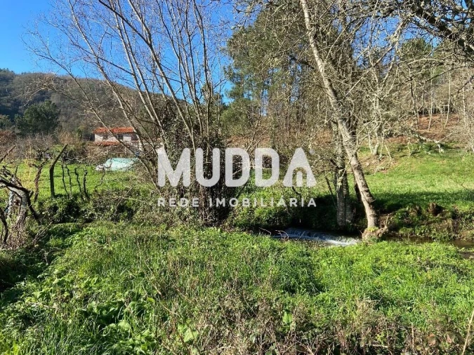 Terreno para Venda em Gove Foto 7