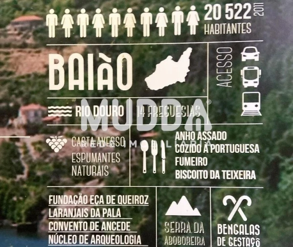 Terreno para Venda em Gove Foto 15