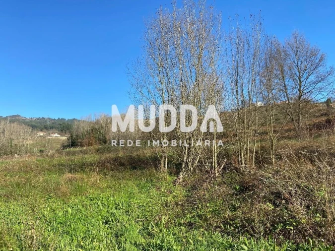 Terreno para Venda em Gove Foto 2