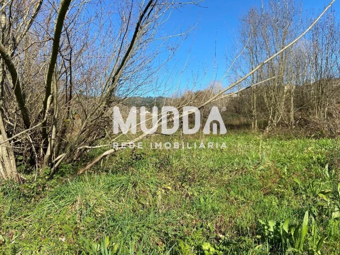 Terreno para Venda em Gove Foto 4