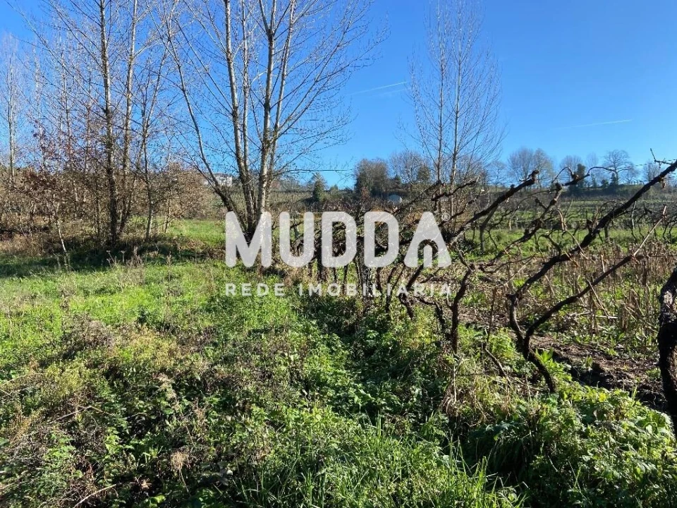 Terreno para Venda em Gove Foto 6