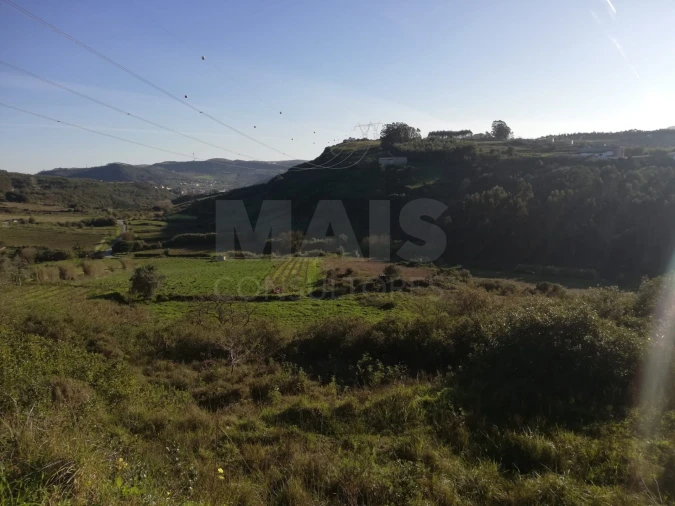 Terreno para Venda em Santo Quintino Foto 5