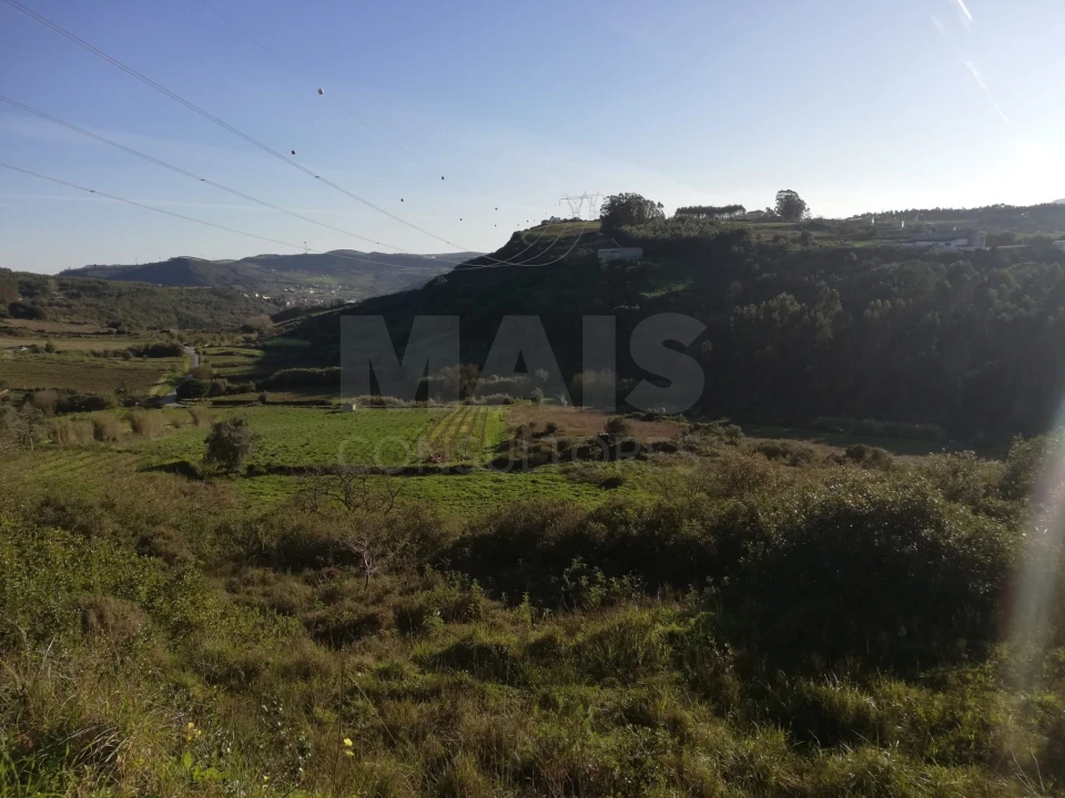 Terreno para Venda em Santo Quintino Foto 5