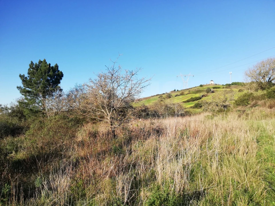 Terreno para Venda em Santo Quintino Foto 3