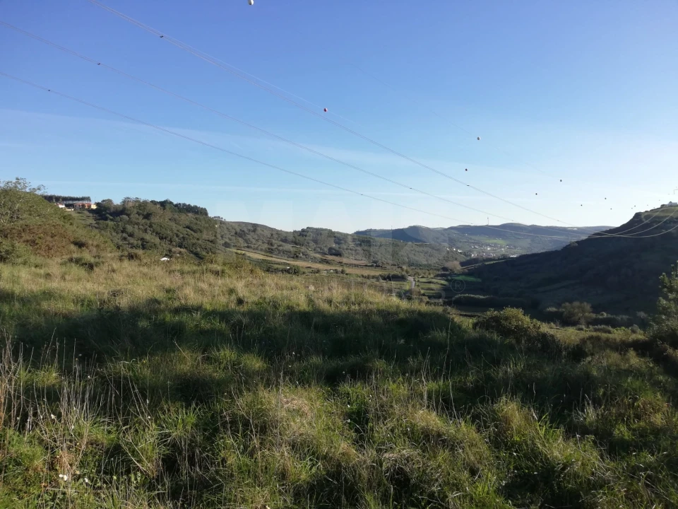 Terreno para Venda em Santo Quintino Foto 4