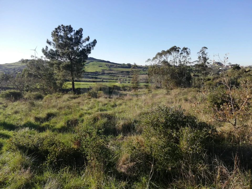 Terreno para Venda em Santo Quintino Foto 6