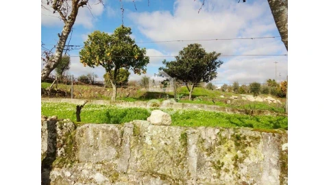 Terreno para Venda em São João de Lourosa