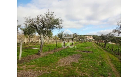 Terreno para Venda em São João de Lourosa