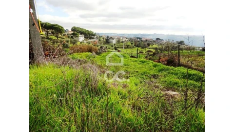 Terreno para Venda em São João de Lourosa
