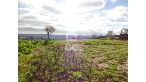 Terreno para Venda em São João de Lourosa