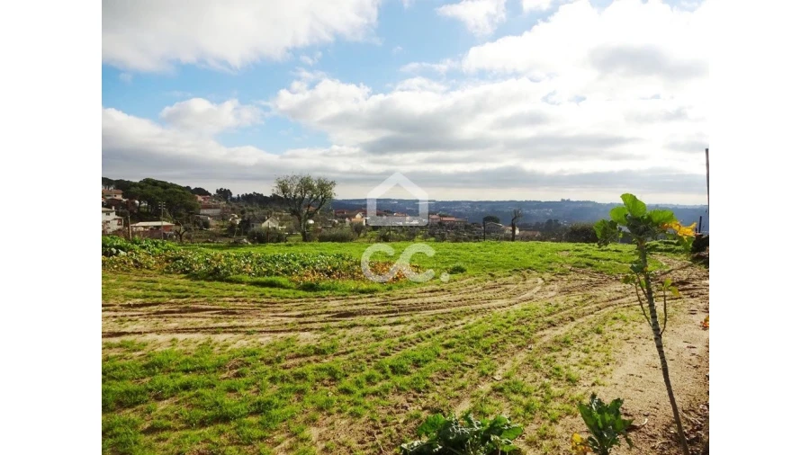 Terreno para Venda em São João de Lourosa Foto 7