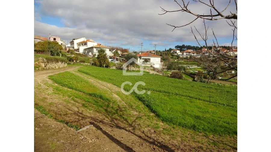 Terreno para Venda em São João de Lourosa Foto 4